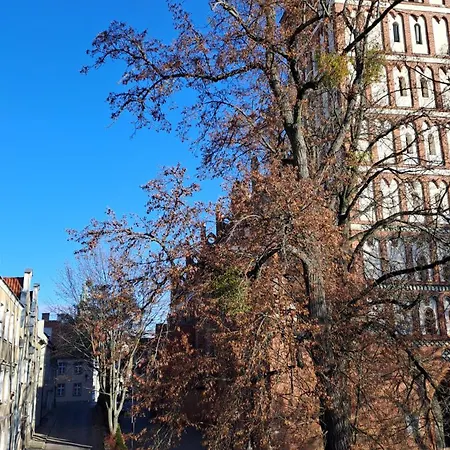 Stare Widok Na Katedre *