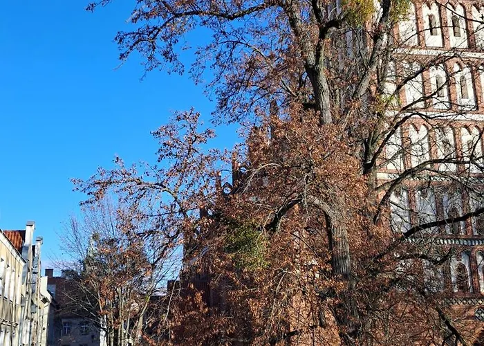 Stare Widok Na Katedrę *