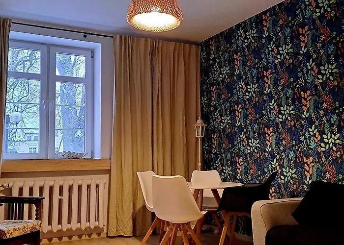 Stare Widok Na Katedrę Olsztyn (Warmian-Masurian)